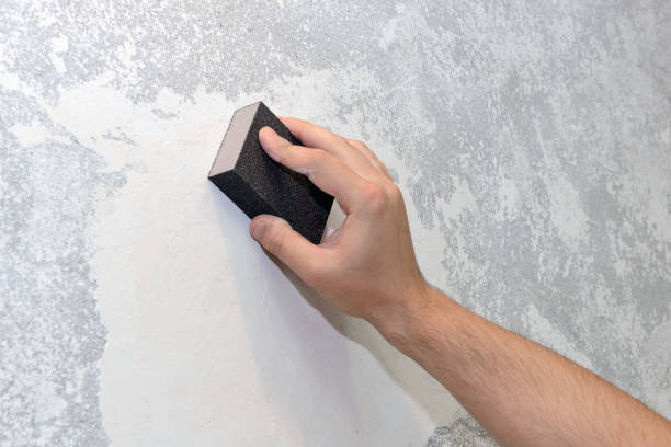  Elephant Butte, NM Mold Removal Pros