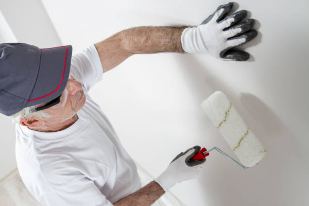 Best Industrial Mold Remediation  in Elephant Butte, NM