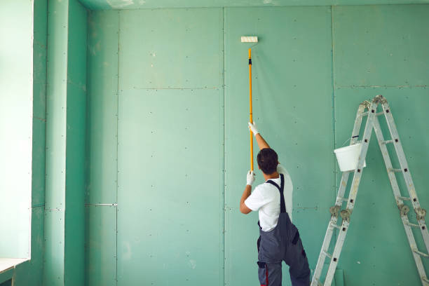 Professional Mold Removal in Elephant Butte, NM