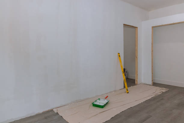 Best Attic Mold Removal  in Elephant Butte, NM