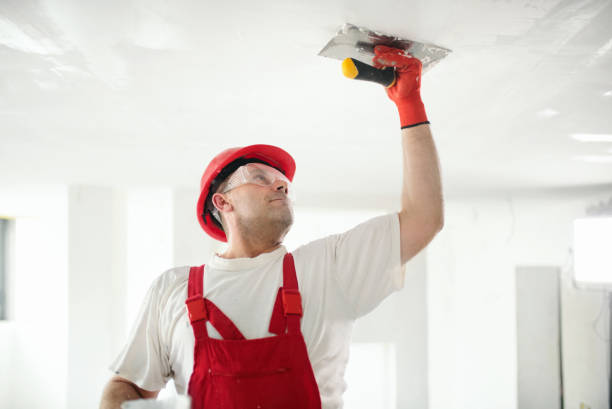 Best Water Damage & Mold Remediation  in Elephant Butte, NM