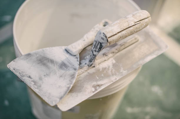 Best Mold Documentation for Insurance Claims  in Elephant Butte, NM