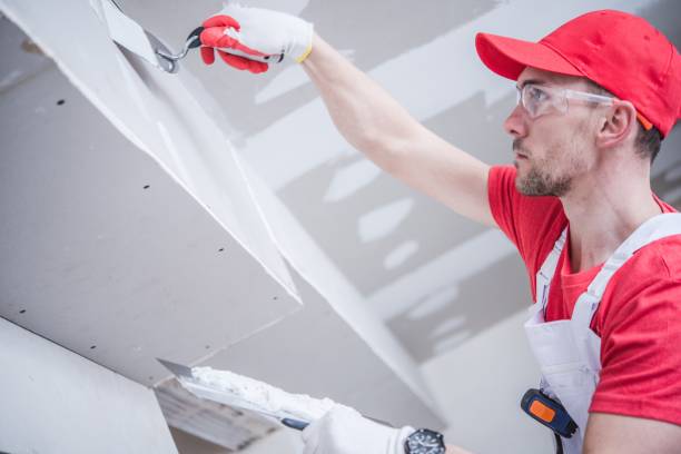 Best Real Estate Mold Inspection  in Elephant Butte, NM