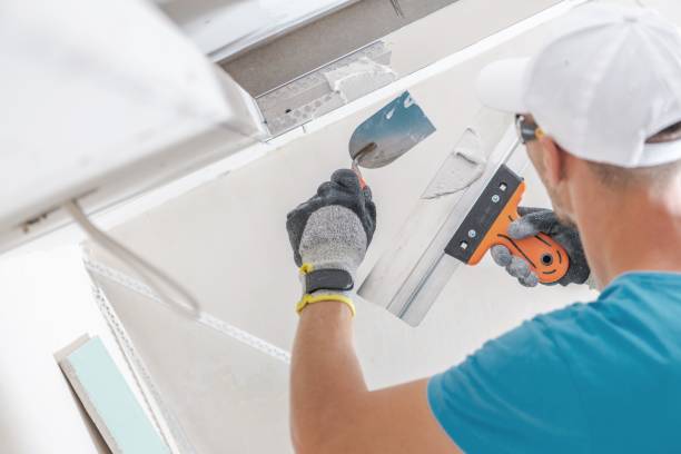 Best Mold Odor Removal Services  in Elephant Butte, NM